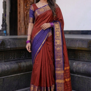 traditional narayanpet handloom saree features a deep maroon body contrasted with a royal blue border intricately woven with golden peacock motifs
